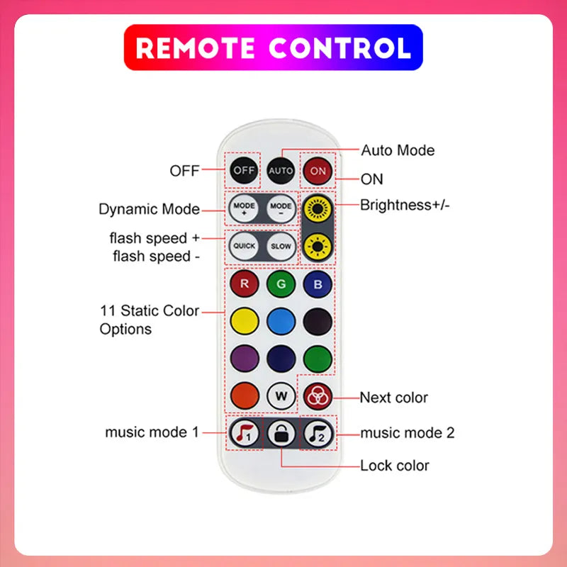 Neon LED Strip Lights