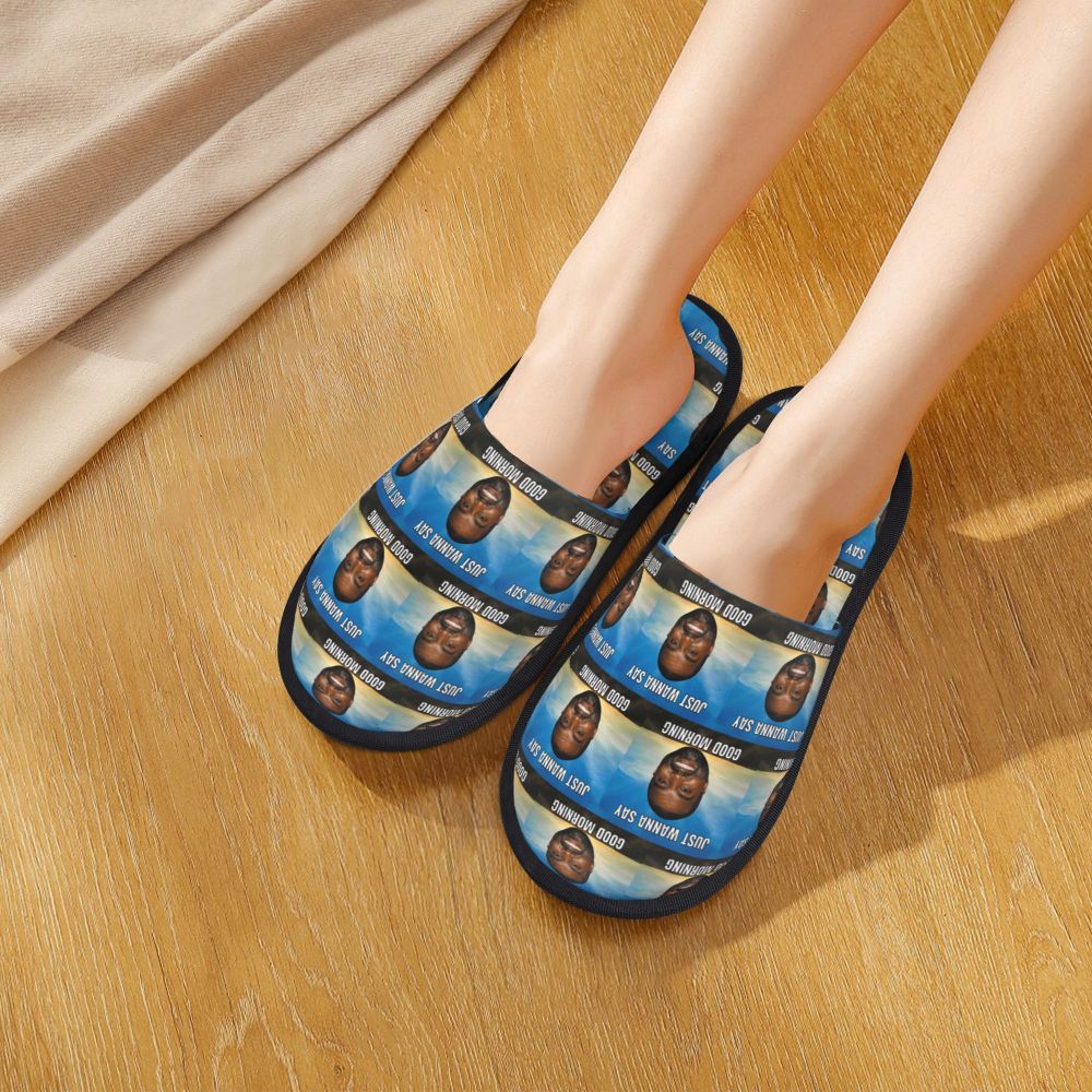 Funny Meme Slippers (more variants)
