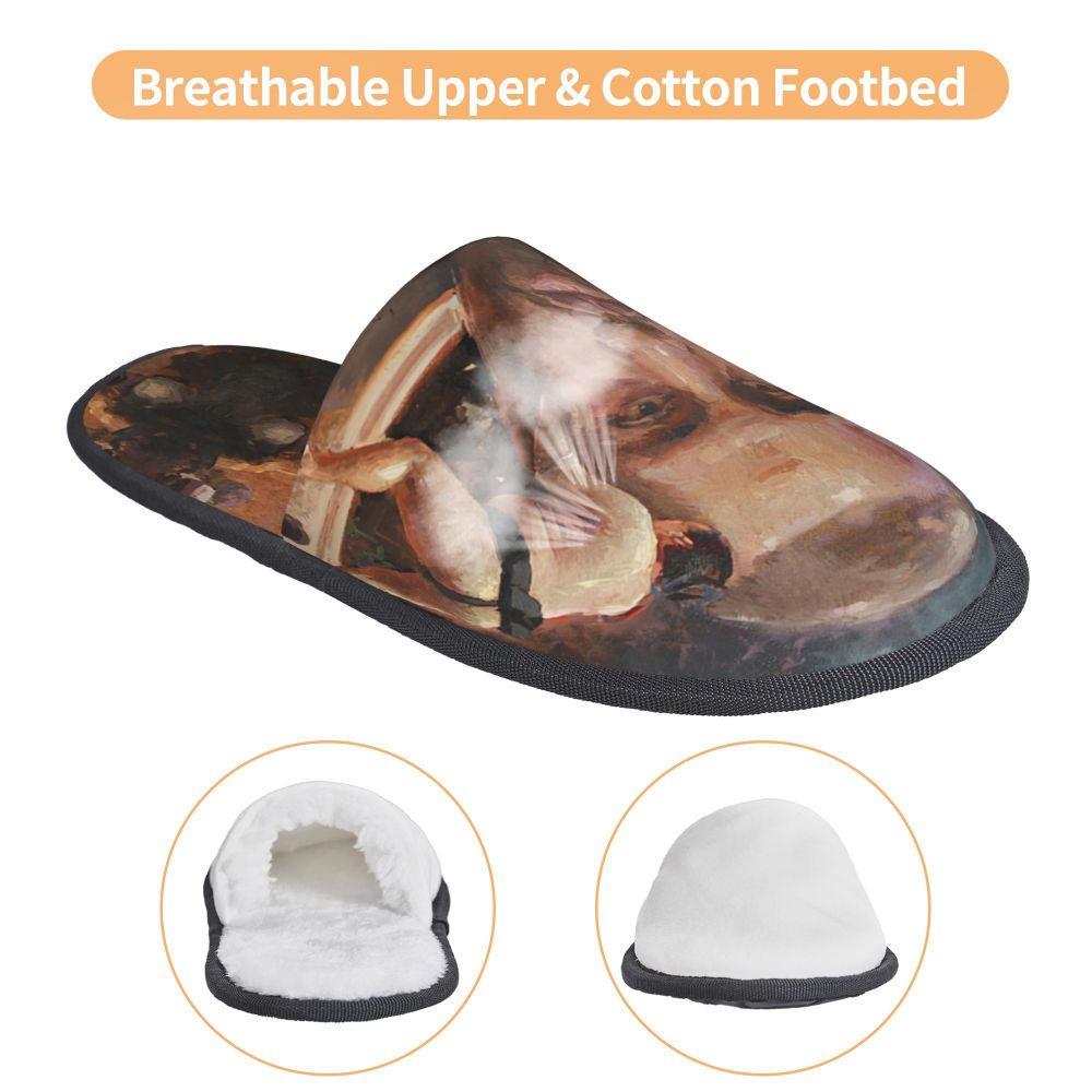 Funny Meme Slippers (more variants)