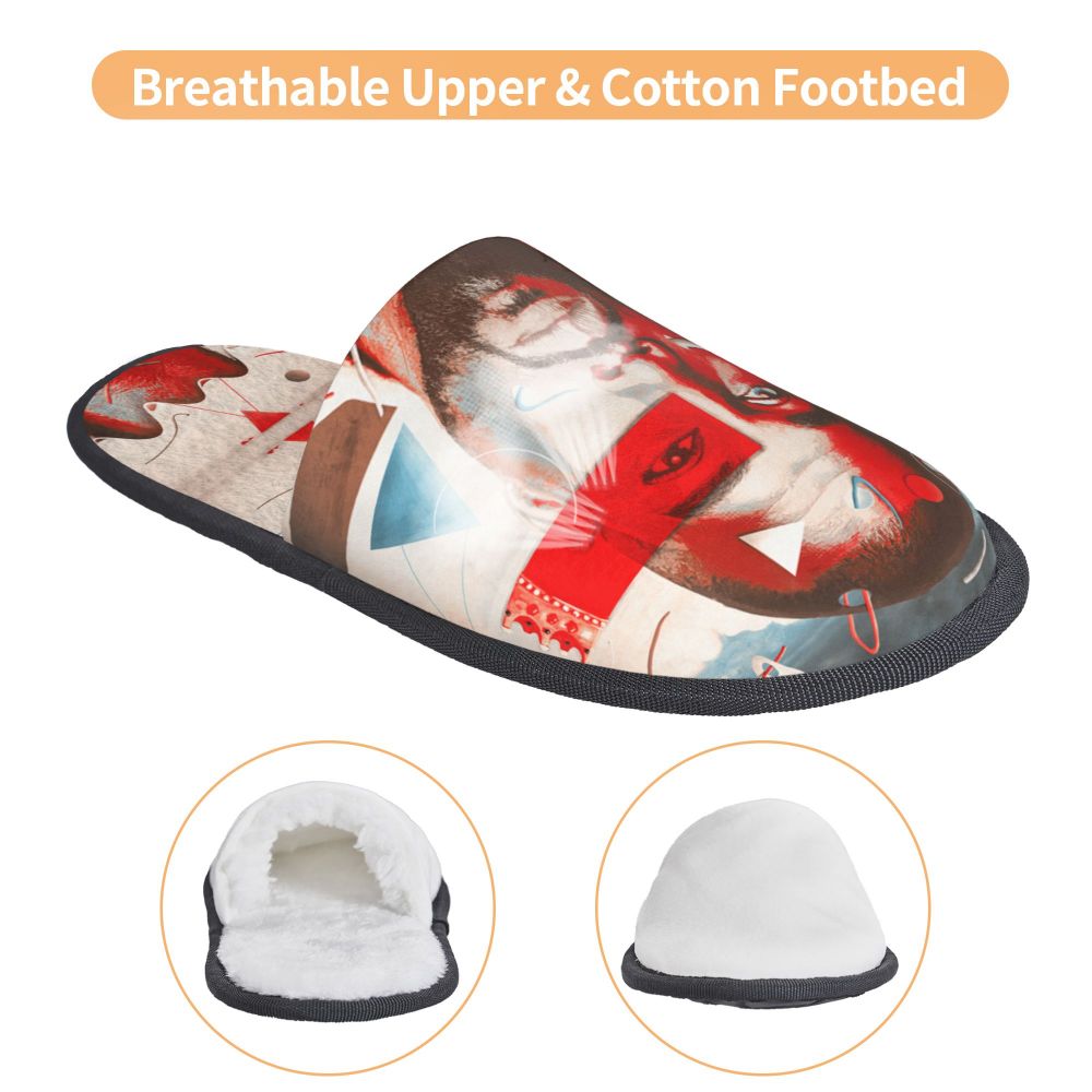 Funny Meme Slippers (more variants)