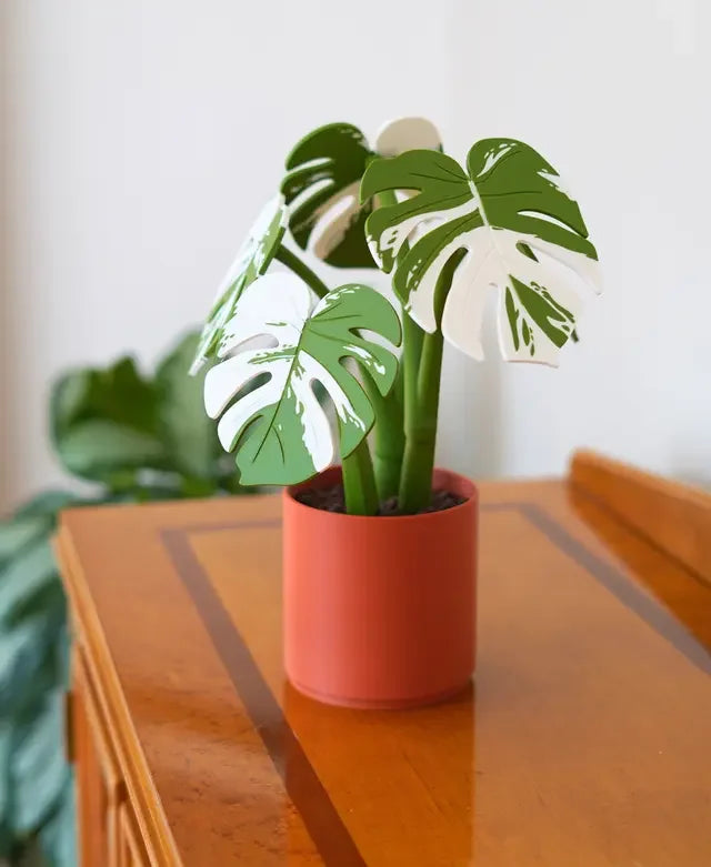 Monstera Plant Coaster Set