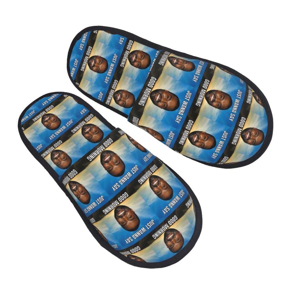 Funny Meme Slippers (more variants)