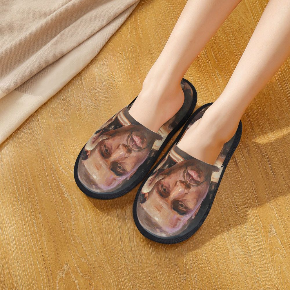 Funny Meme Slippers (more variants)