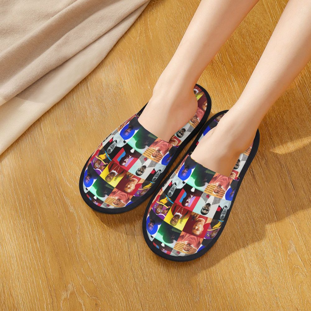 Funny Meme Slippers (more variants)