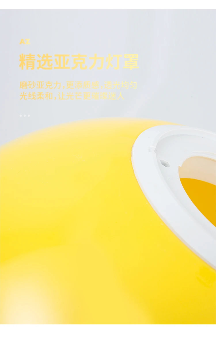 Balloon Ceiling Lights