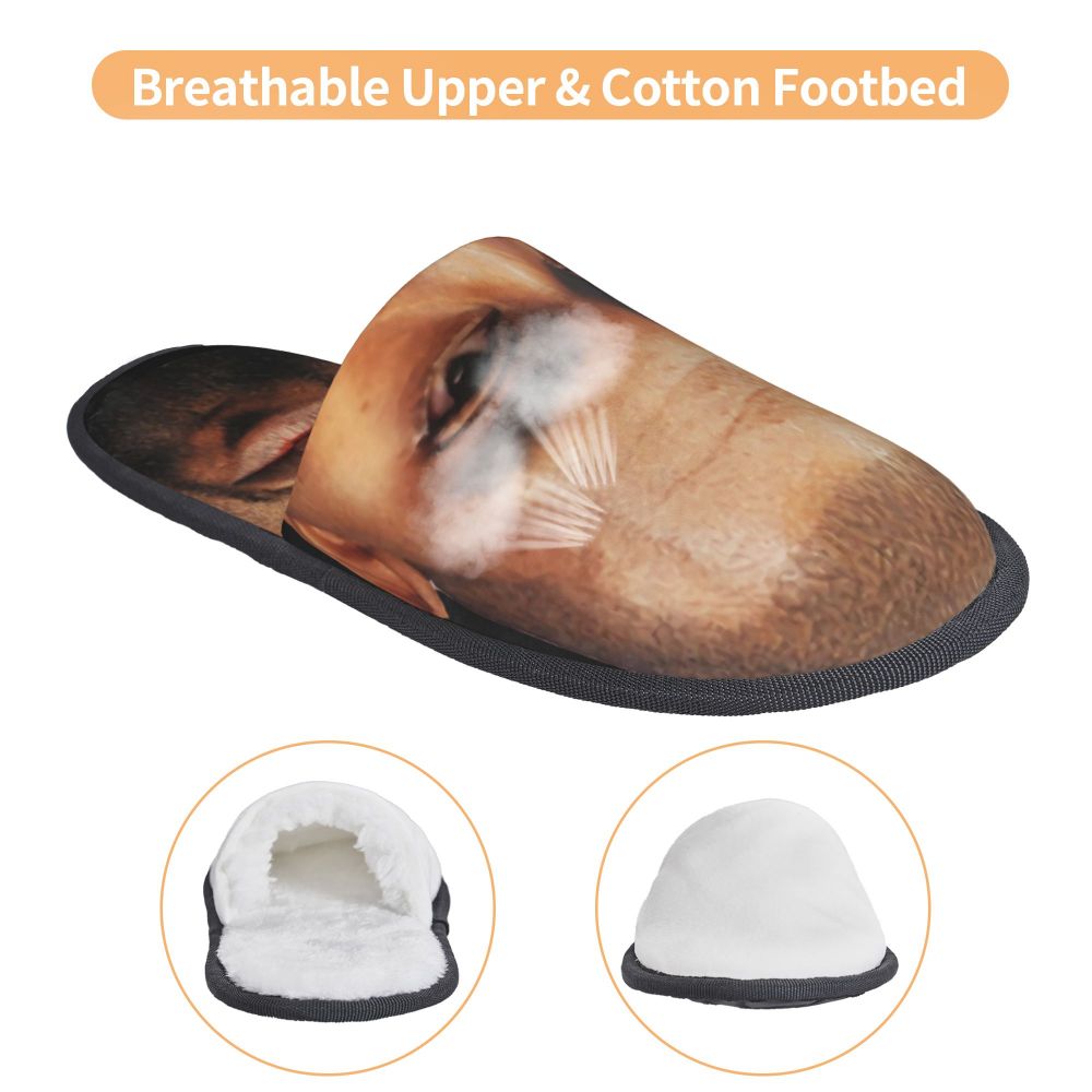 Funny Meme Slippers (more variants)