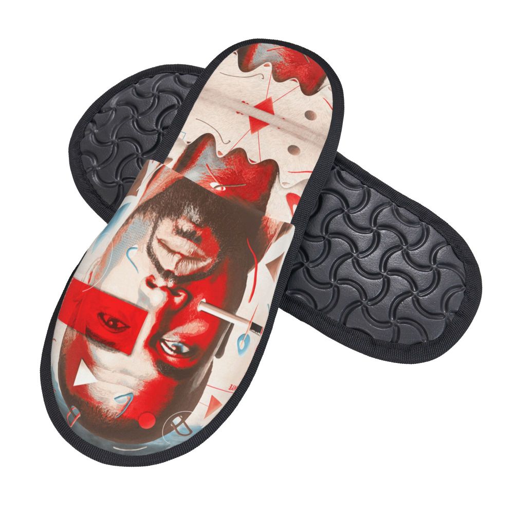 Funny Meme Slippers (more variants)