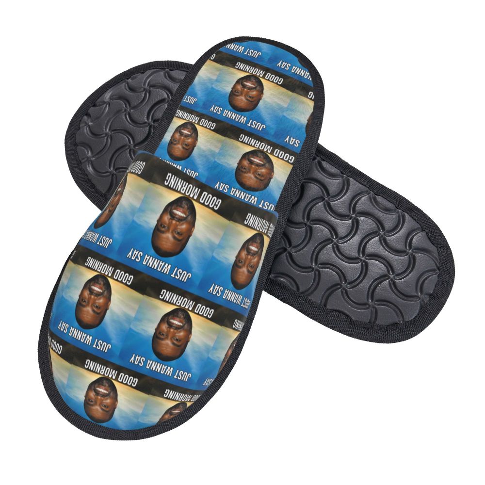 Funny Meme Slippers (more variants)