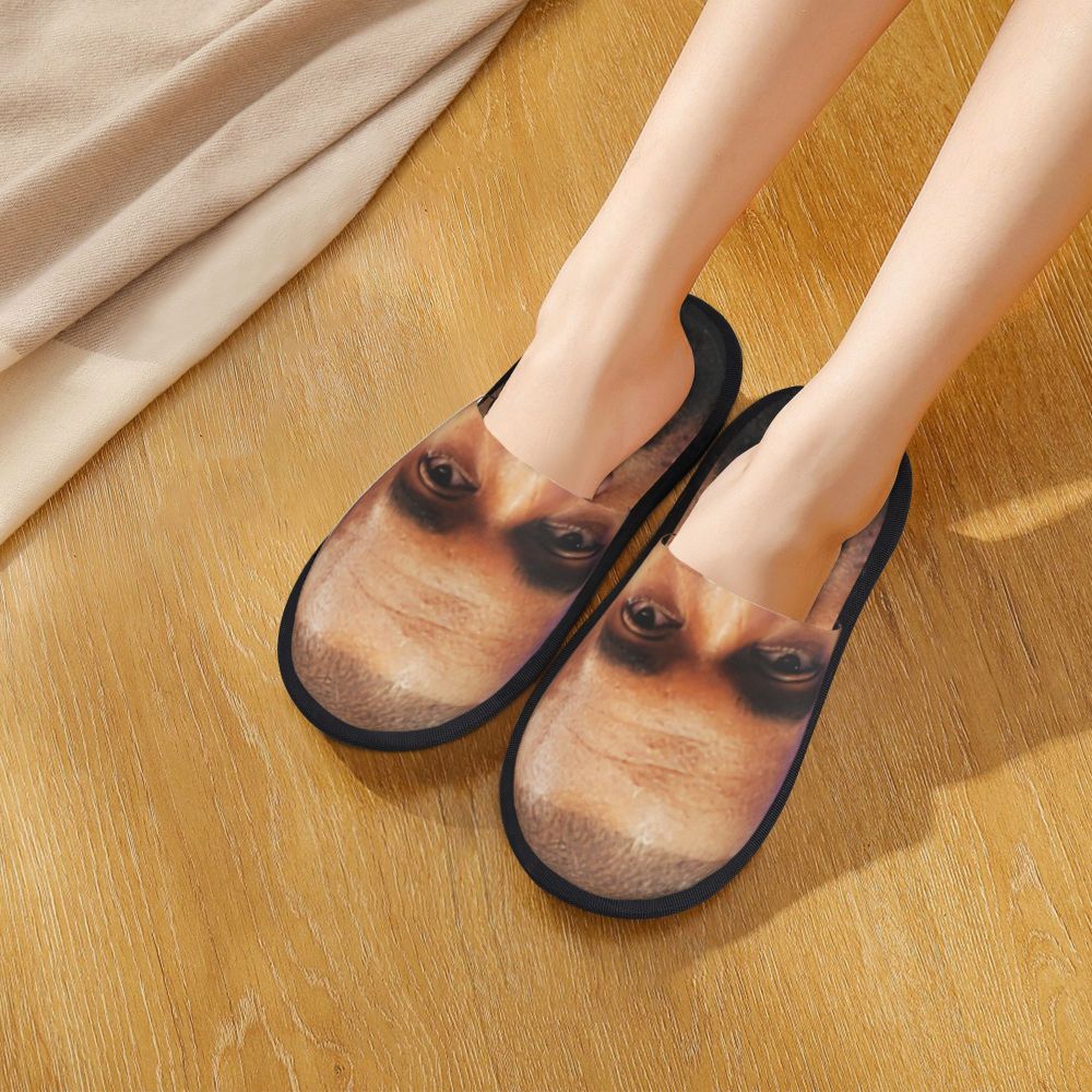 Funny Meme Slippers (more variants)