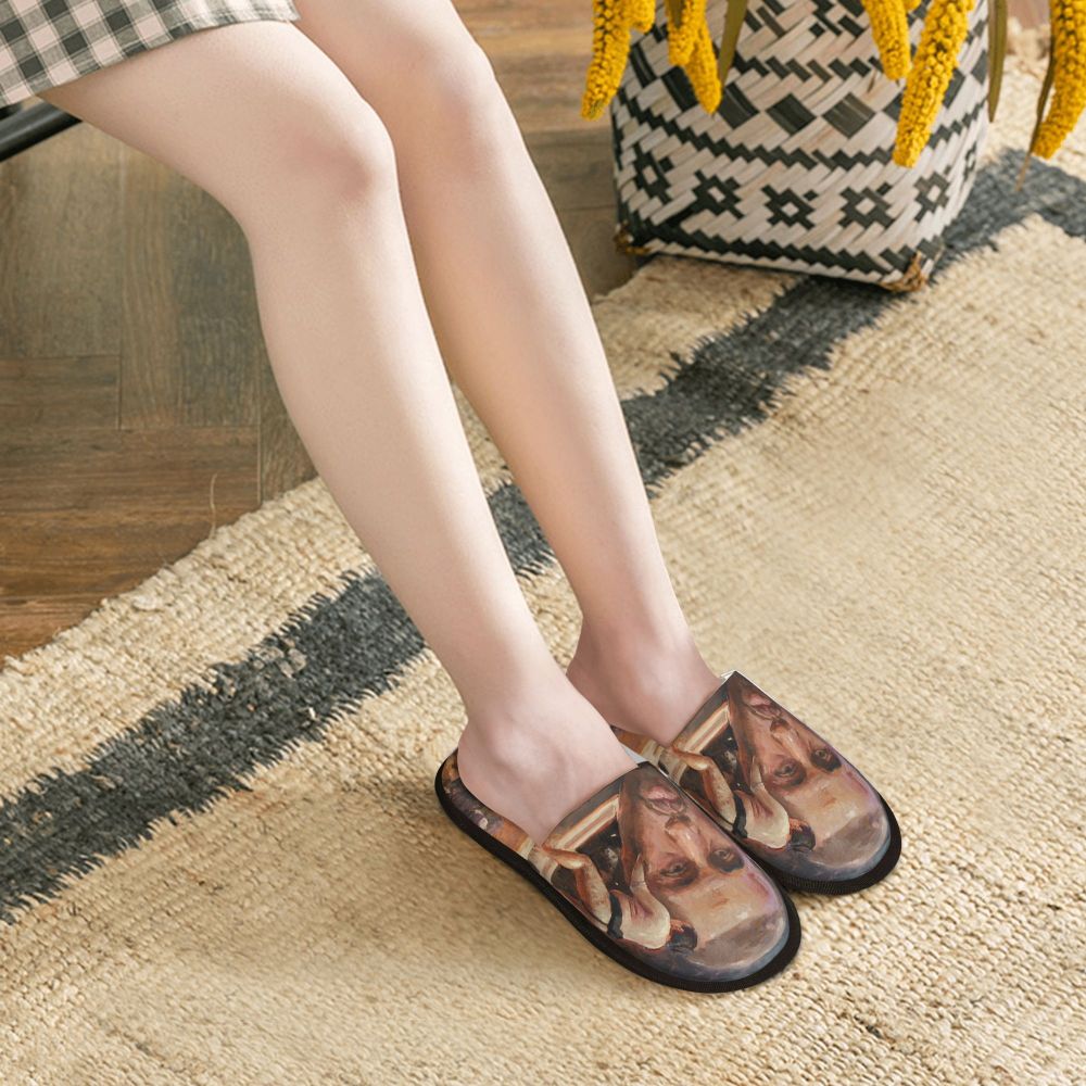 Funny Meme Slippers (more variants)