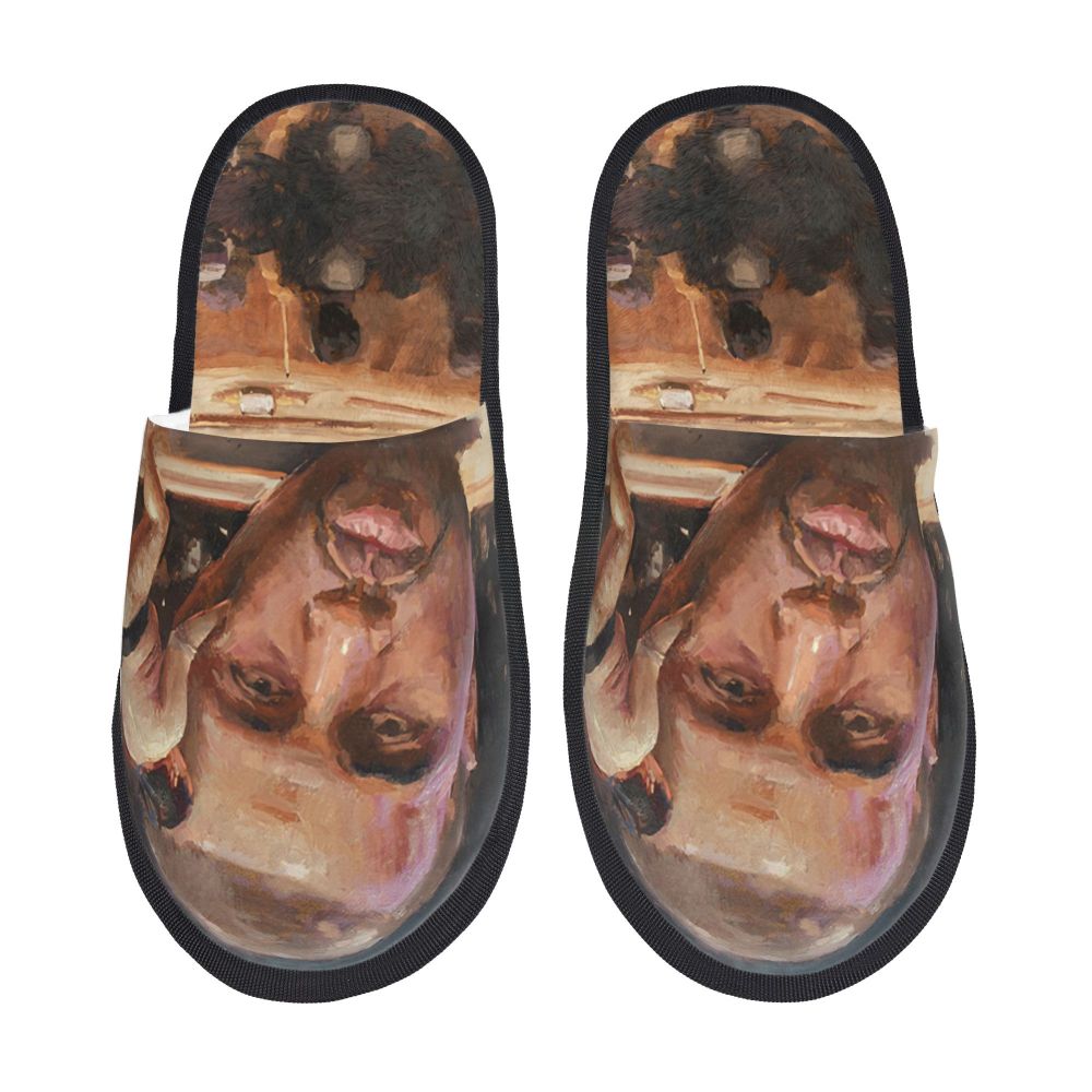 Funny Meme Slippers (more variants)