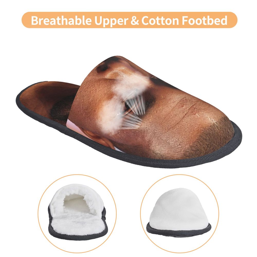 Funny Meme Slippers (more variants)