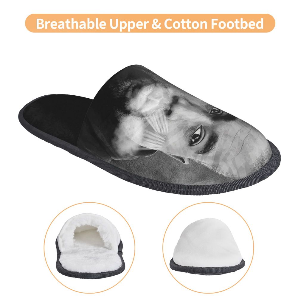 Funny Meme Slippers (more variants)